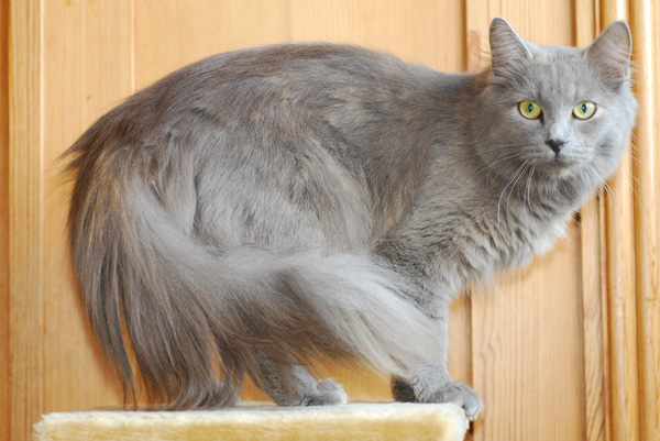 hoffentlich hat sie bald ....jpg